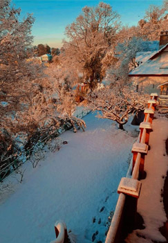 Dhami House Top View